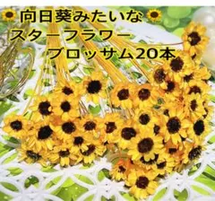 2025年最新】スターフラワーヒマワリの人気アイテム - メルカリ