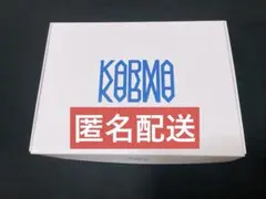 StrayKids スキズ KARMA アルバム 通常版 開封済み 匿名配送