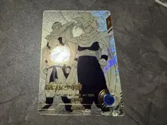 APT-008 パラレル 孫悟飯:少年期　ドラゴンボールダイバーズ　アドバンス