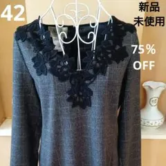 【新品・未使用】イタリー製　膝が少し隠れる　豪華な刺繍の　ワンピース　42