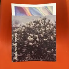 COMME des GARÇONS GEORGIA O'KEEFFE④