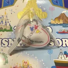 キャスト風・ディズニーネームタグキーチェーン