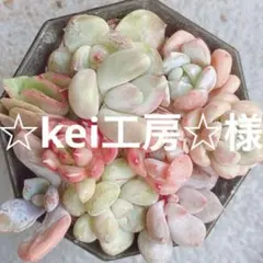 ☆kei工房☆様 リクエスト 2点 まとめ商品