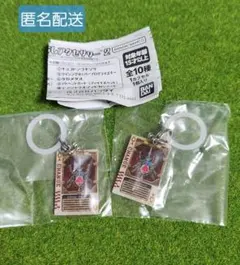 仮面ライダーシリーズ　めじるしアクセサリー2　ラウズカード2個セット