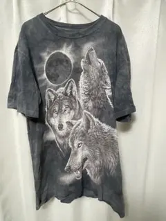 GILDAN くまの親子 アニマルTシャツ ピチT スーベニア メキシコ製 