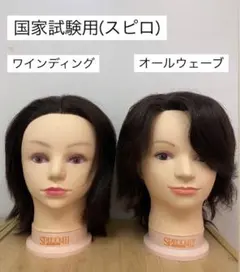 ワインディング　練習用6体 カットウィッグ ワインディング ブラントカット 人毛 国家試験