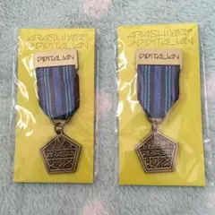 嵐 THEDIGITALIAN メダルブローチ(青、紫)