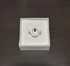 LAD MUSICIAN ラッドミュージシャン ReAg999 シルバーリング LAD MUSICIAN ラッドミュージシャン ReAg999 シルバーリング