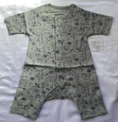 Item thumbnail for item 160fd822-1759-416b-97b1-2bece18ef903