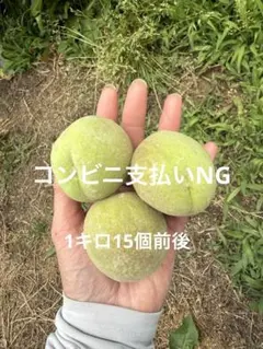 山梨県 摘果桃 （大） 10キロ d - メルカリ