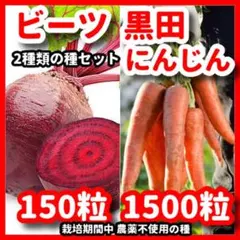 jan_kasuteira7様 リクエスト 4点 まとめ商品