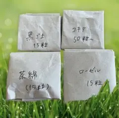 5-6月に撒く種　set 黒ごま　コキア　茶綿　ローゼルのサムネイル