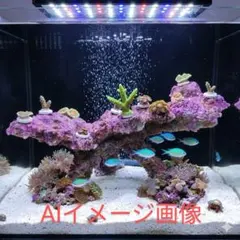 人工ライブロック PHR71／13穴加工 38×26×21 - メルカリ