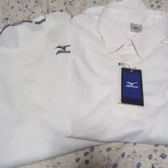 Item thumbnail for item c58dc968-b2c7-4df1-8cd8-2bdc0f558140