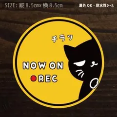 ドラレコ録画中⑤猫2　防水ステッカー　シール　ドライブレコーダー　ネコ 0072