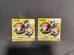 呪術廻戦缶バッジ 2個セット