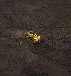 ビンゴブラザーズ24k星ピアス