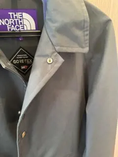 THE NORTH FACE GORE-TEX ジャケット グレー