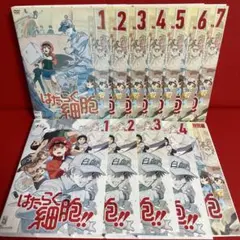 DVD はたらく細胞 1期+2期+特別編 12巻 全巻 レンタル - メルカリ