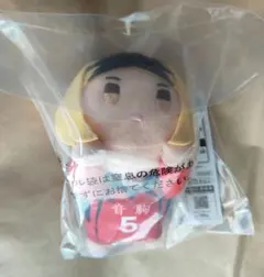 一番くじ ハイキュー!! ～10th anniversary！～　D賞ぬいぐるみ