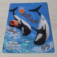 2026年最新】鳥羽水族の人気アイテム - メルカリ