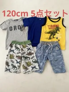 120cm 恐竜 Tシャツ パンツセット 5点　まとめ売り