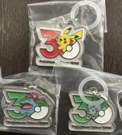 【即日配送】ポケモン 30周年 メタルチャーム マスコット めじるし 3個セット