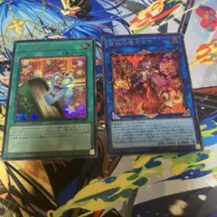 遊戯王 ウィッチクラフト・バイスマスター 魔女の聖夜行 セット - メルカリ