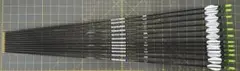 【EASTON X10】アーチェリー矢 500スパイン 12本セット