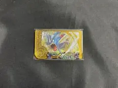 ポケモンフレンダ　ベストタッグ5だん　レガシーピック　ギャラドス