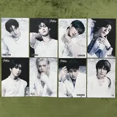 Stray Kids GIANT タワレコ 特典 フライヤー 8種 コンプ