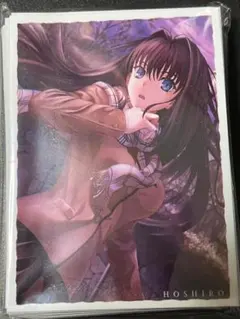 魔法使いの夜 蒼崎青子　SILVER BLITZ　スリーブ　A 魔法使いの夜 蒼崎青子 SILVER BLITZ スリーブ B 魔法使いの夜