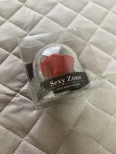 【 SexyZone 】 未開封 ちょっこりさん　10周年　ブルーレイ ローズ 2025年最新】sexyzone 10周年 バラの人気アイテム - メルカリ