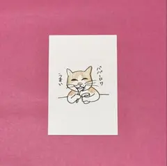 ポストカード「ババーロワうまい」