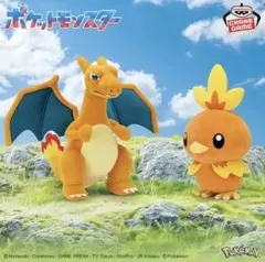 ポケモン リザードン アチャモ ぬいぐるみ