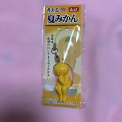 Item thumbnail for item 53009a7d-a784-454e-8d62-864d9d091bf6