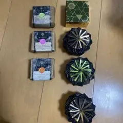 Item thumbnail for item 1fcf76b5-4df0-405b-b2c3-109a06e551e5