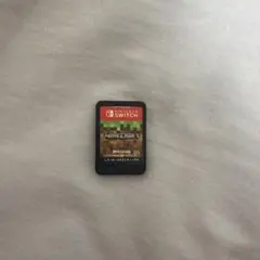 Minecraft Nintendo Switch ソフトのみ