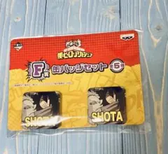 ヒロアカ　相澤消太　一番くじ　缶バッジ　僕のヒーローアカデミア　イレイザーヘッド