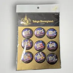 東京ディズニーランド 20周年 ピンバッジセット