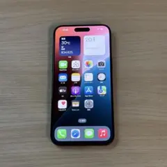 iPhone 15 Pro Max (ブルーチタニウム, SIMフリー)