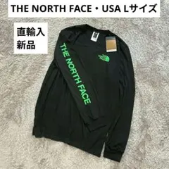 新品⭐USA⭐日本未発売⭐L⭐THE NORTH FACE⭐ロングTシャツ