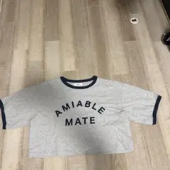 WEGO 半袖 Tシャツ グレー