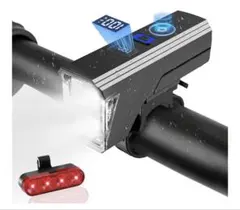 Item thumbnail for item 5820b534-fe5f-46d7-bd34-e346d52c543d