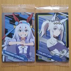 タマモクロス サイン入りカード　2枚セット タマモクロス サイン入りカード 2枚セット ウマ娘 疾風迅雷