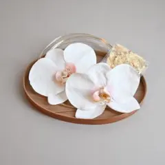 【胡蝶蘭と水引と金箔】髪飾り 白 卒業式 結婚式 和装 ヘッドドレス　袴　成人式