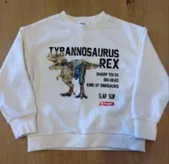 SLAPSLIP スラップスリップ Schleichシュライヒコラボ スウェット