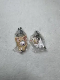 SKZOO つまんでつなげてますこっと vol.2 ジニレット　フォクシニー