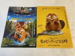 映画　私がビーバーになる時 第二弾&第一弾　2種 フライヤー 各100枚セット