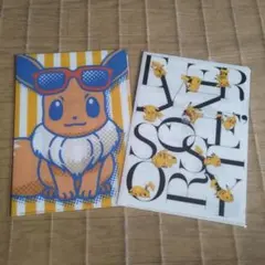 イーブイ 　ピカチュウ　ポケモン　クリアファイル 2枚セット　A5サイズ